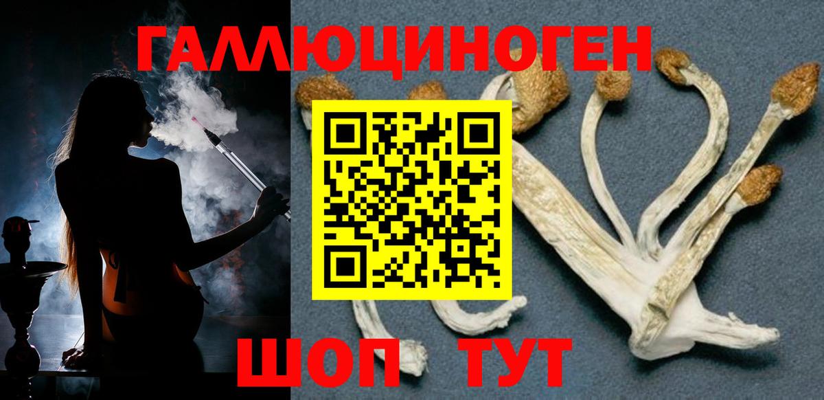 Псилоцибиновые грибы MAGIC MUSHROOMS  Галлюциногенные грибы мицелий  Чусовой  Вход с VPN 