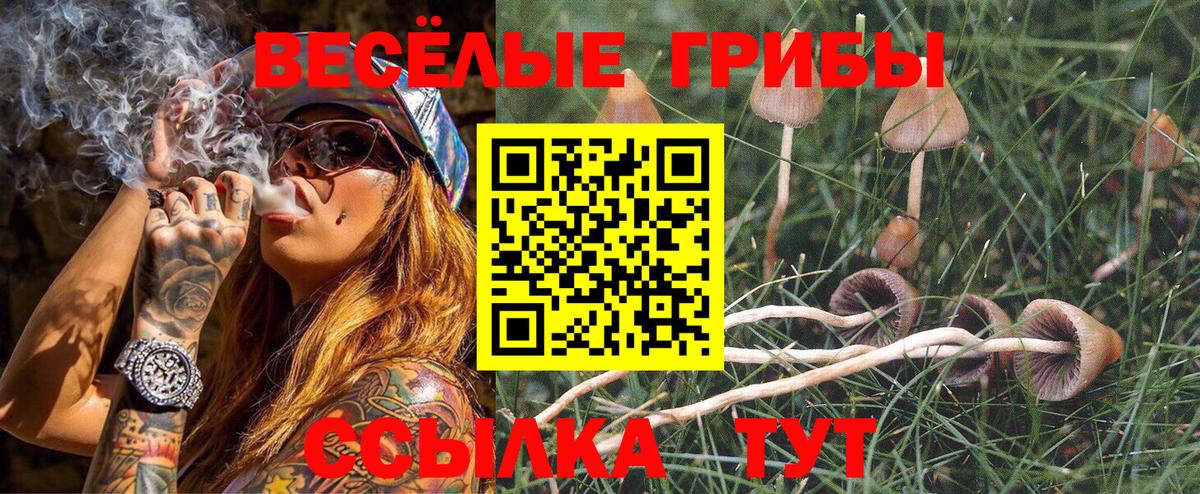 Псилоцибиновые грибы мухоморы Чусовой